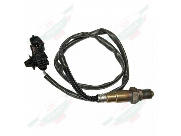 oxygen sensor with wire