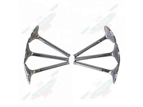 6 engine valves trumpet shape