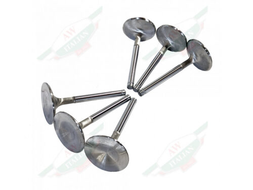 6 engine valves trumpet shape