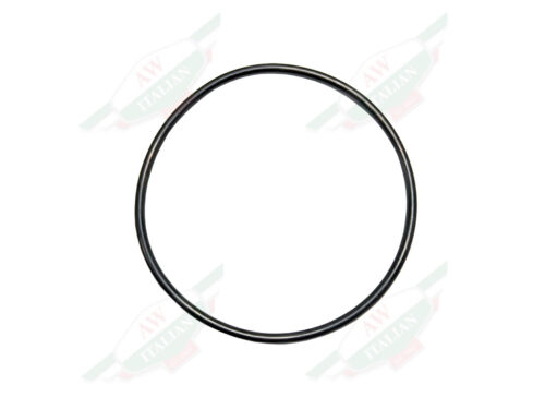 black o-ring circle on white background