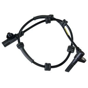 black wire with sensor on end