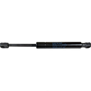 black gas strut