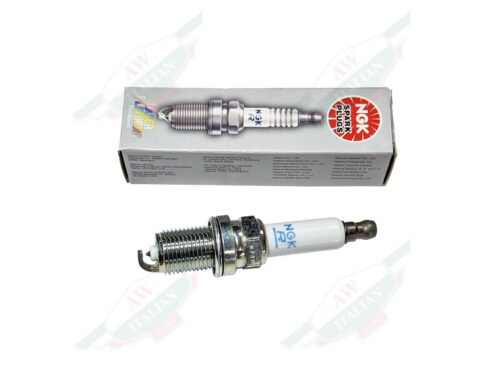 ngk spark plug with box