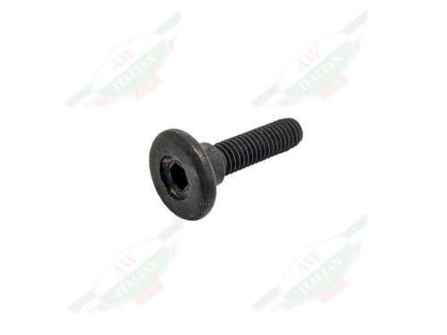 black threaded screw
