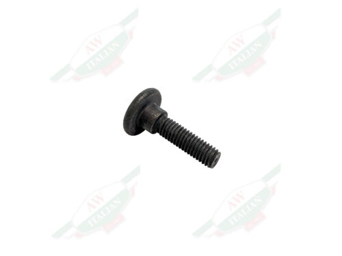 black threaded screw