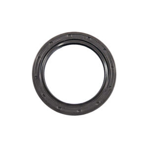 dark brown circle on white background