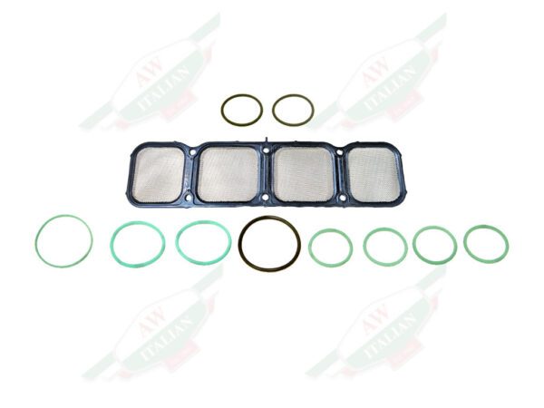 green and black circles on white background