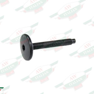 black threaded screw