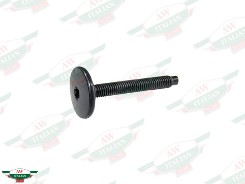 black threaded screw