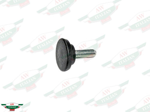 threaded screw with black plastic head