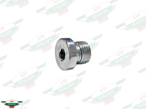 silver threaded plug