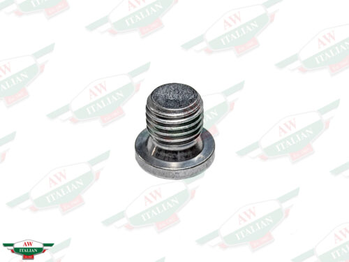 silver threaded plug