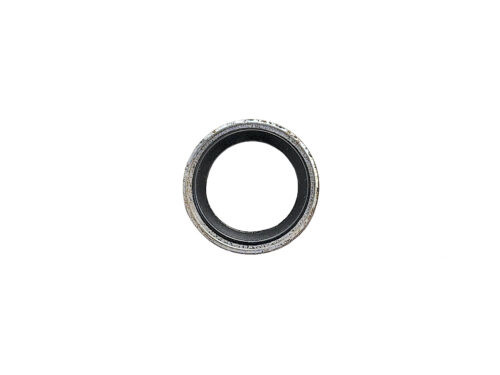 silver ring with black inner ring
