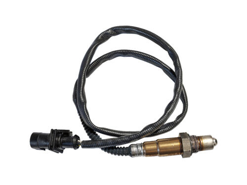 circular wire with gold metal end
