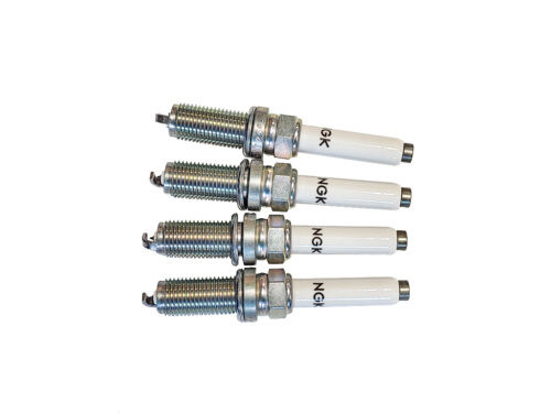 4 ngk spark plugs