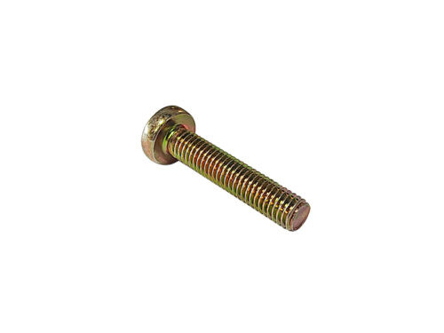gold threaded screw