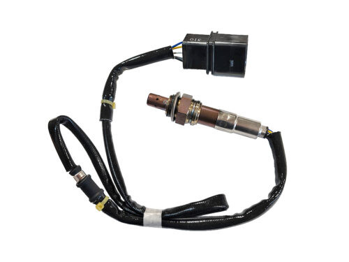 oxygen sensor