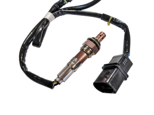 oxygen sensor
