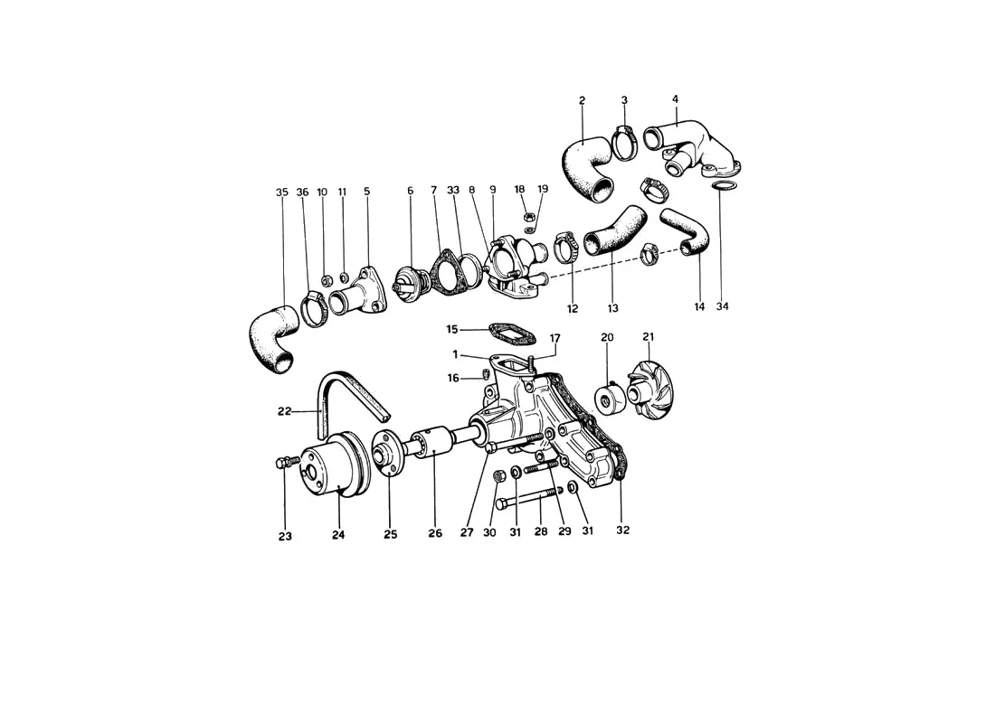 Ferrari 246 Dino GT Coupe & Spyder (From Ch 02132) Water Pump And Pipes exploded diagram