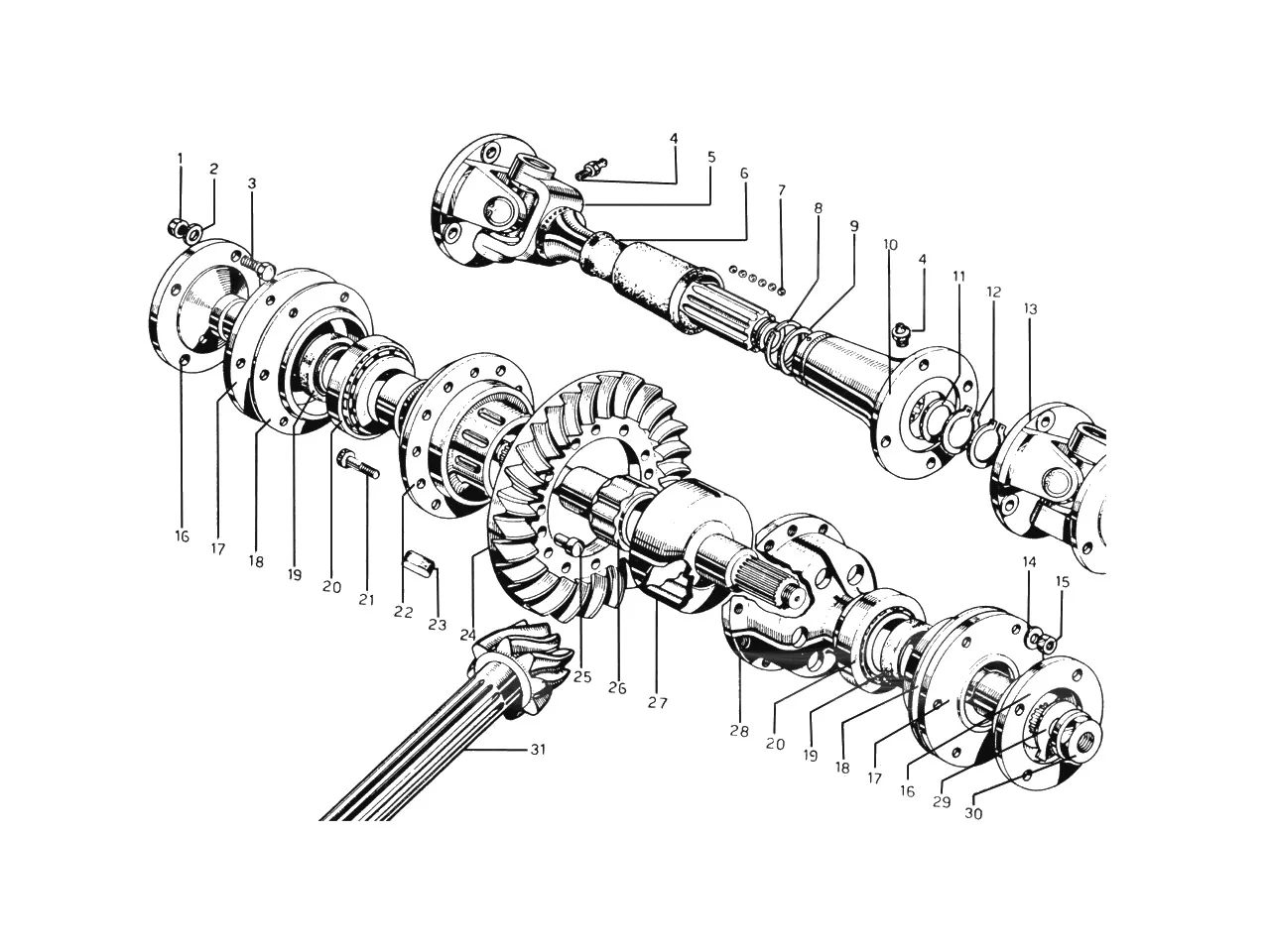 Differential & Driveshaft