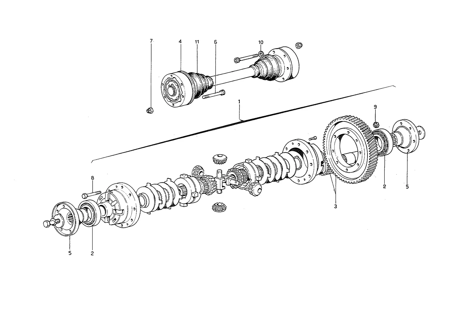 Differential & Axle Shafts