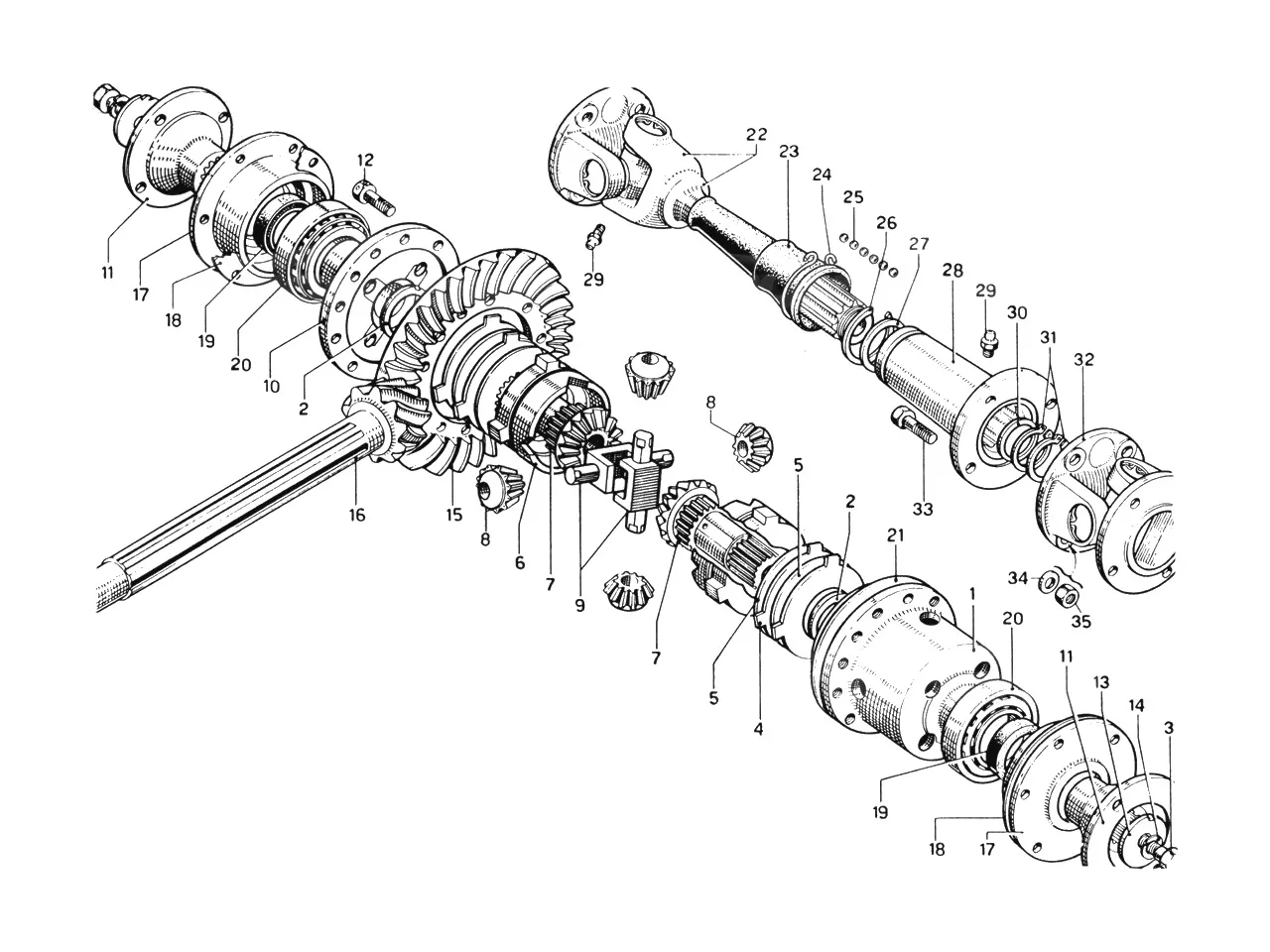 Differential Case & Axle Shafts