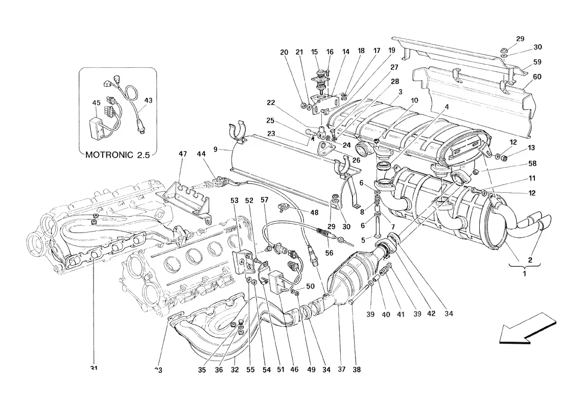 Exhaust System - Valid For Catalytic Vehicles - Not For Usa Spyder