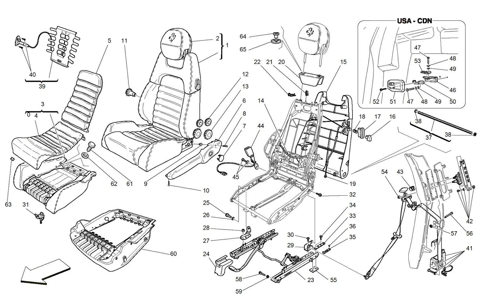 Manual Seat - Safety Belts