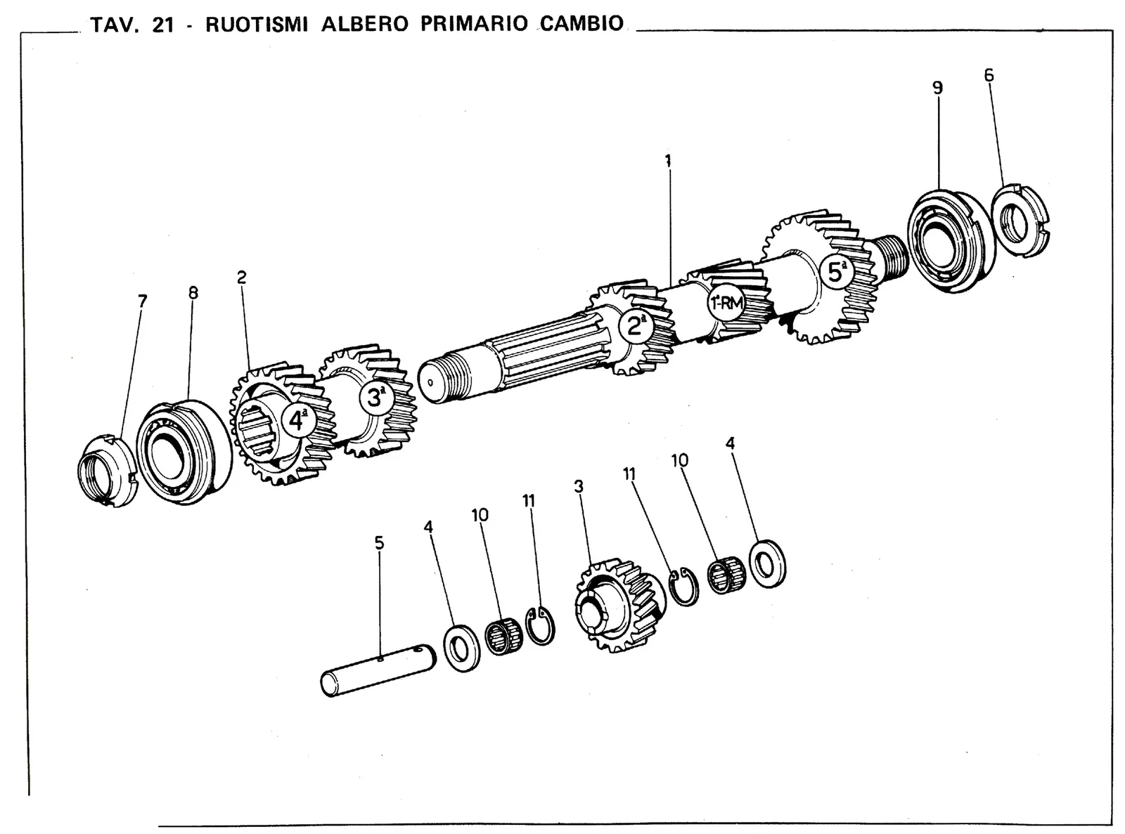 Primary Gears