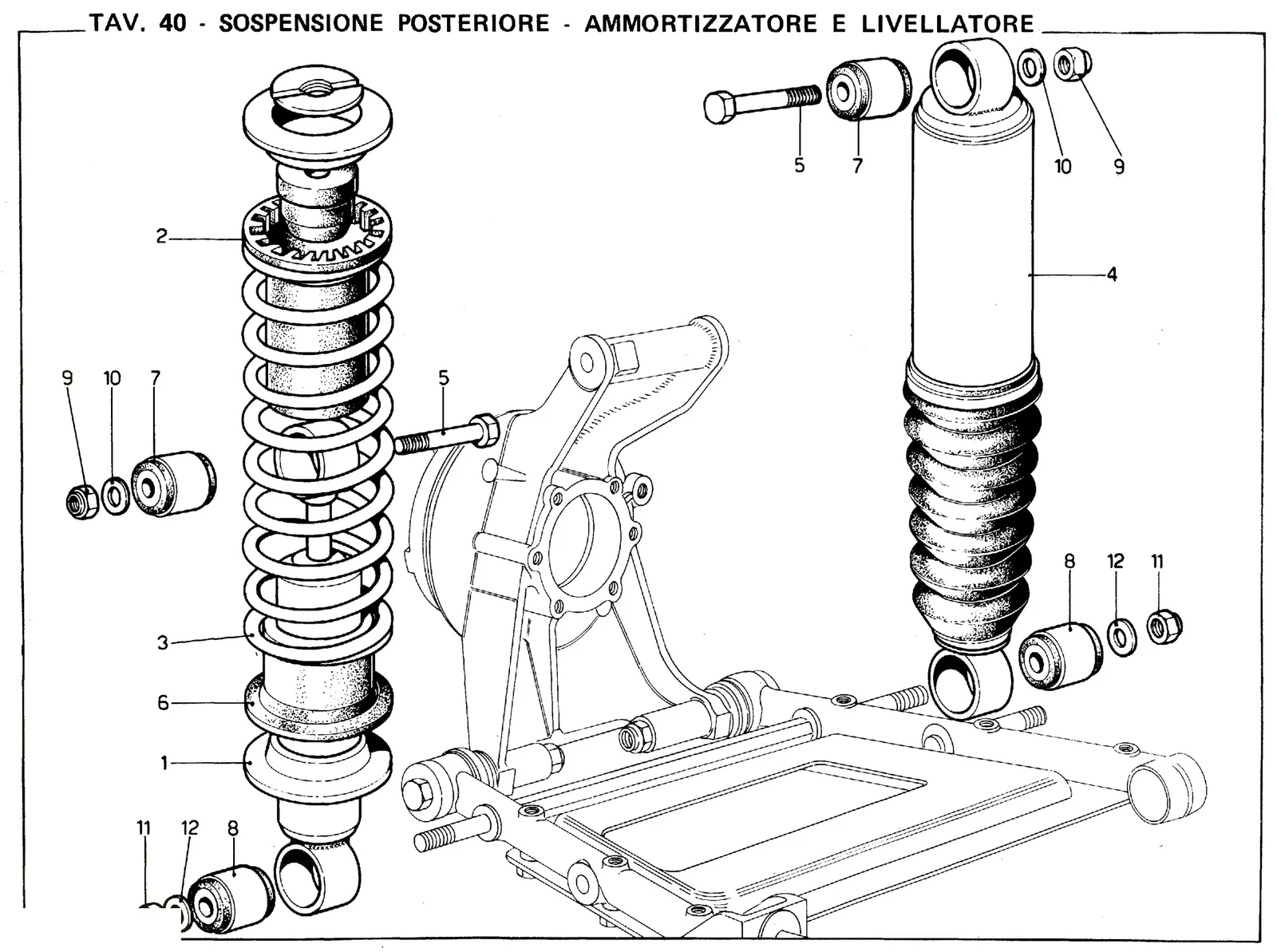 Rear Shock Absorbers