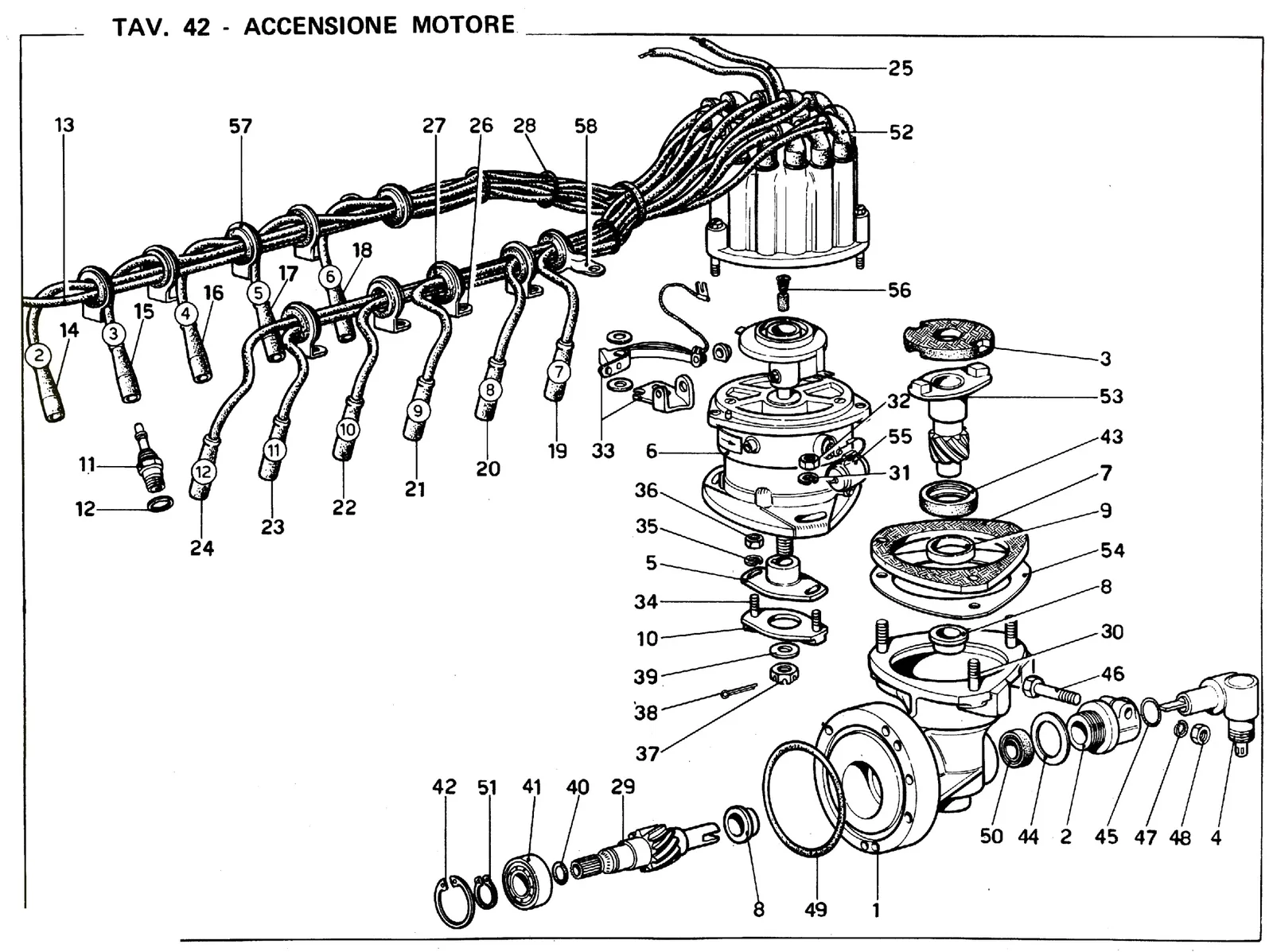 Distribution & HT Leads