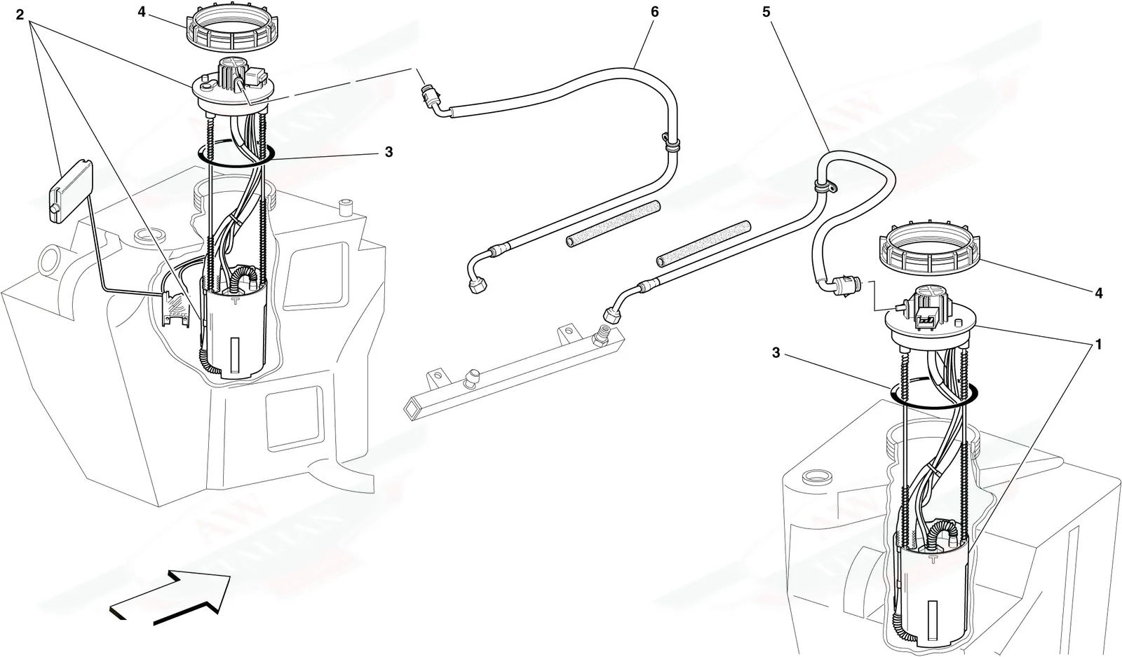 Fuel Pumps And Lines -Not For Spider 16M-