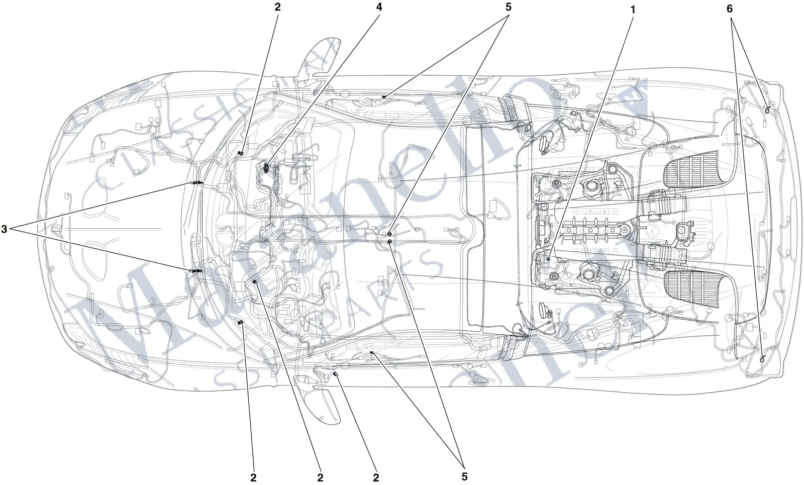 Ferrari 458 Speciale Aperta (Convertible) Various Fastenings For The Electrical System exploded diagram