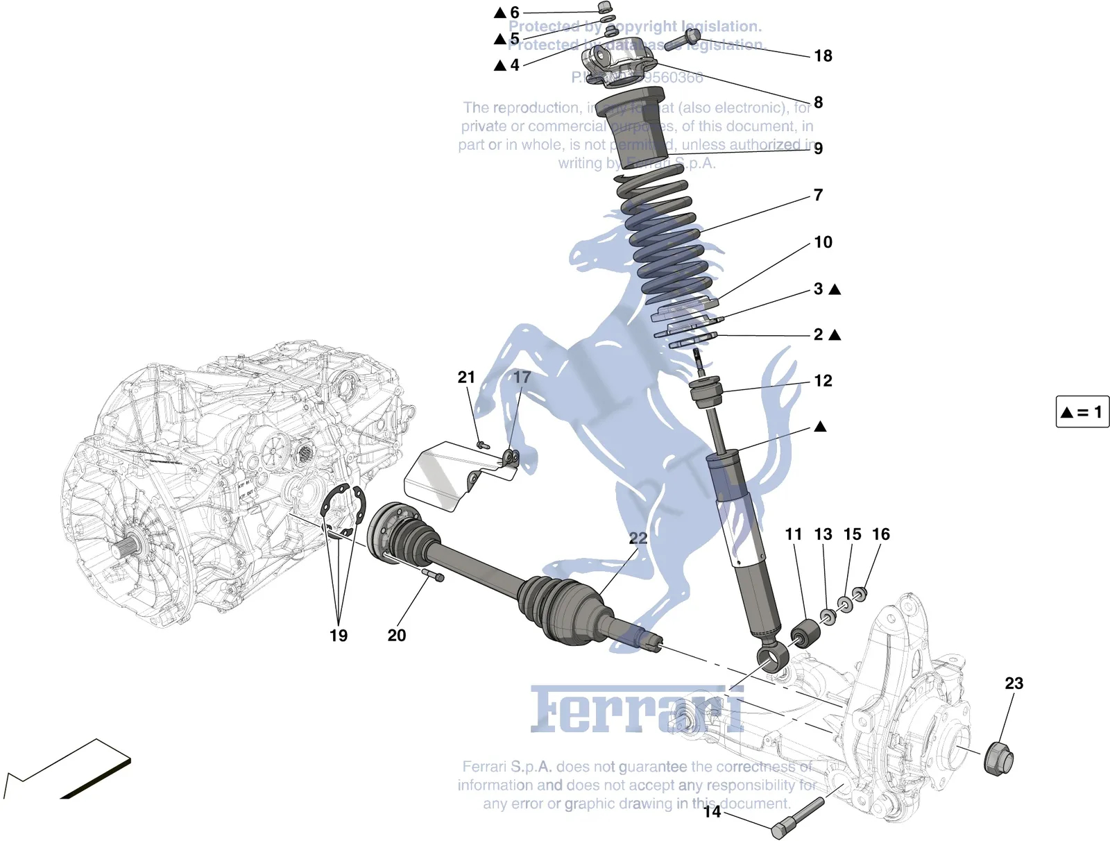 Rear Suspension - Shock Absorbers