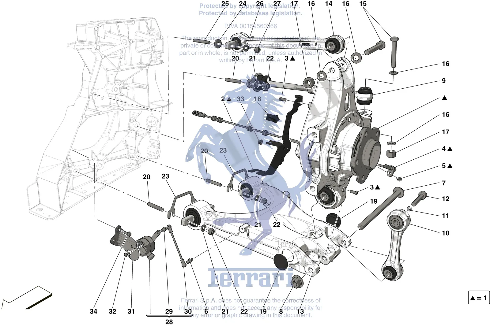 Rear Suspension - Arms
