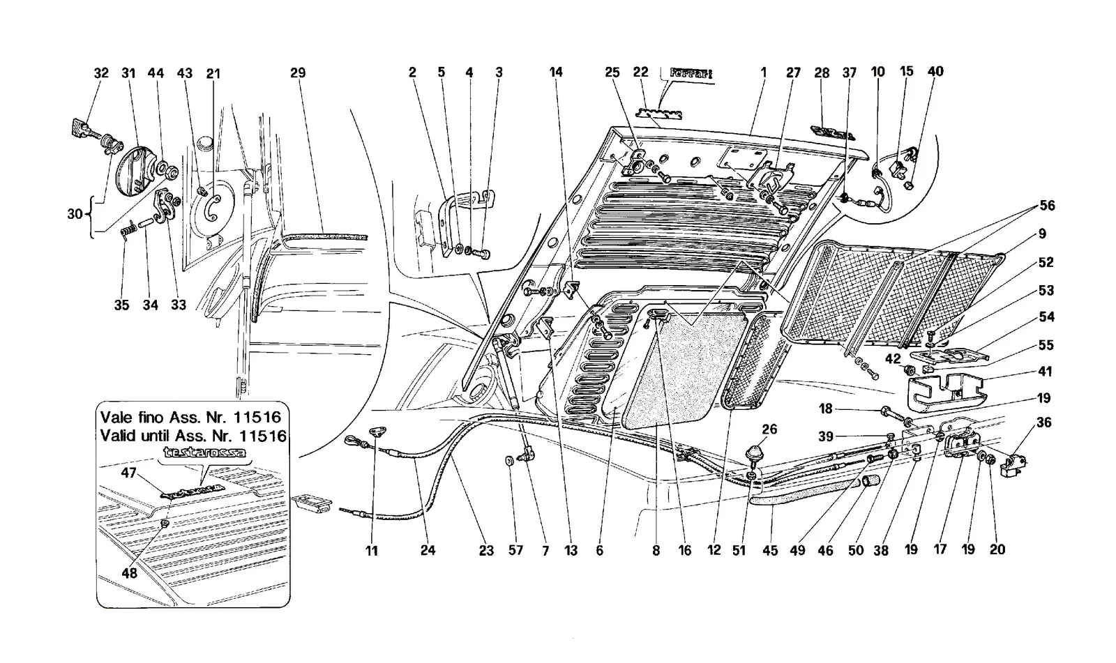 Rear Hood
