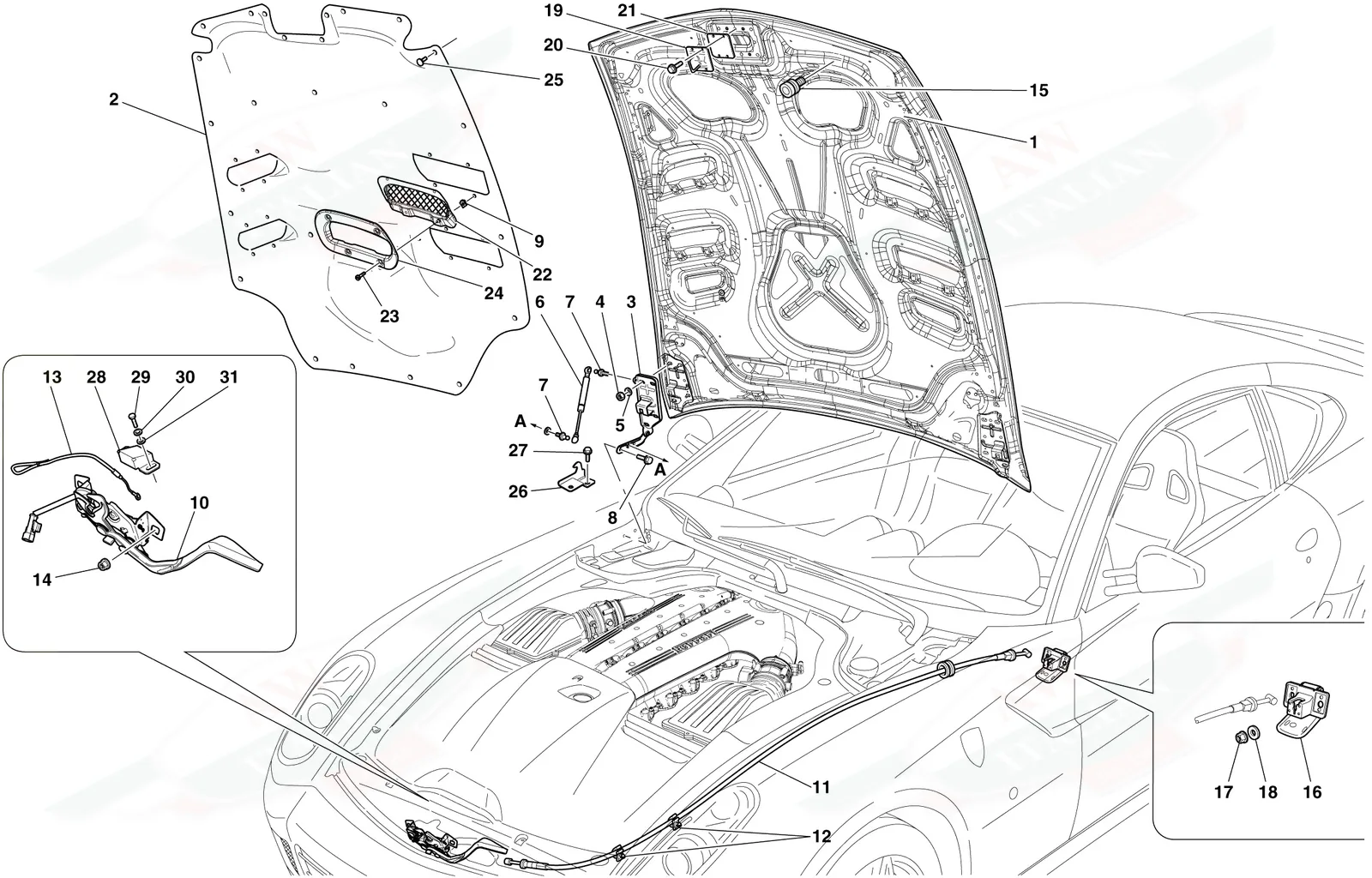 Engine Compartment Lid
