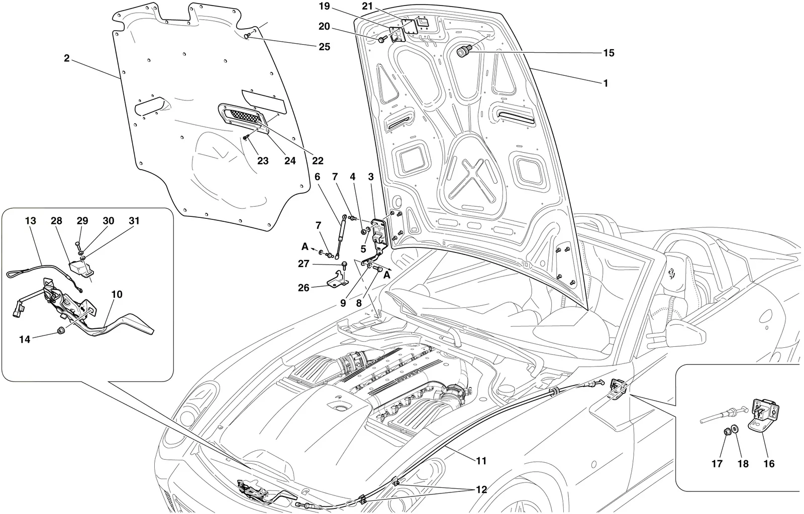 Engine Compartment Lid