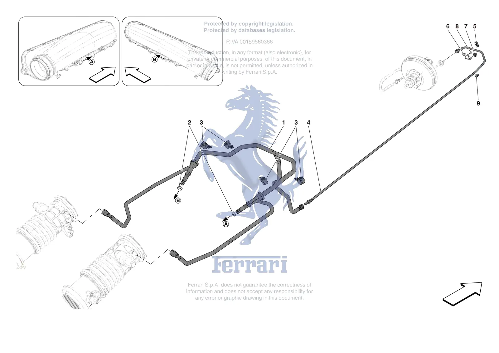 Ferrari Daytona SP3 [MECHANICAL SYSTEM] - D.21 - SERVO BRAKE PIPES exploded diagram