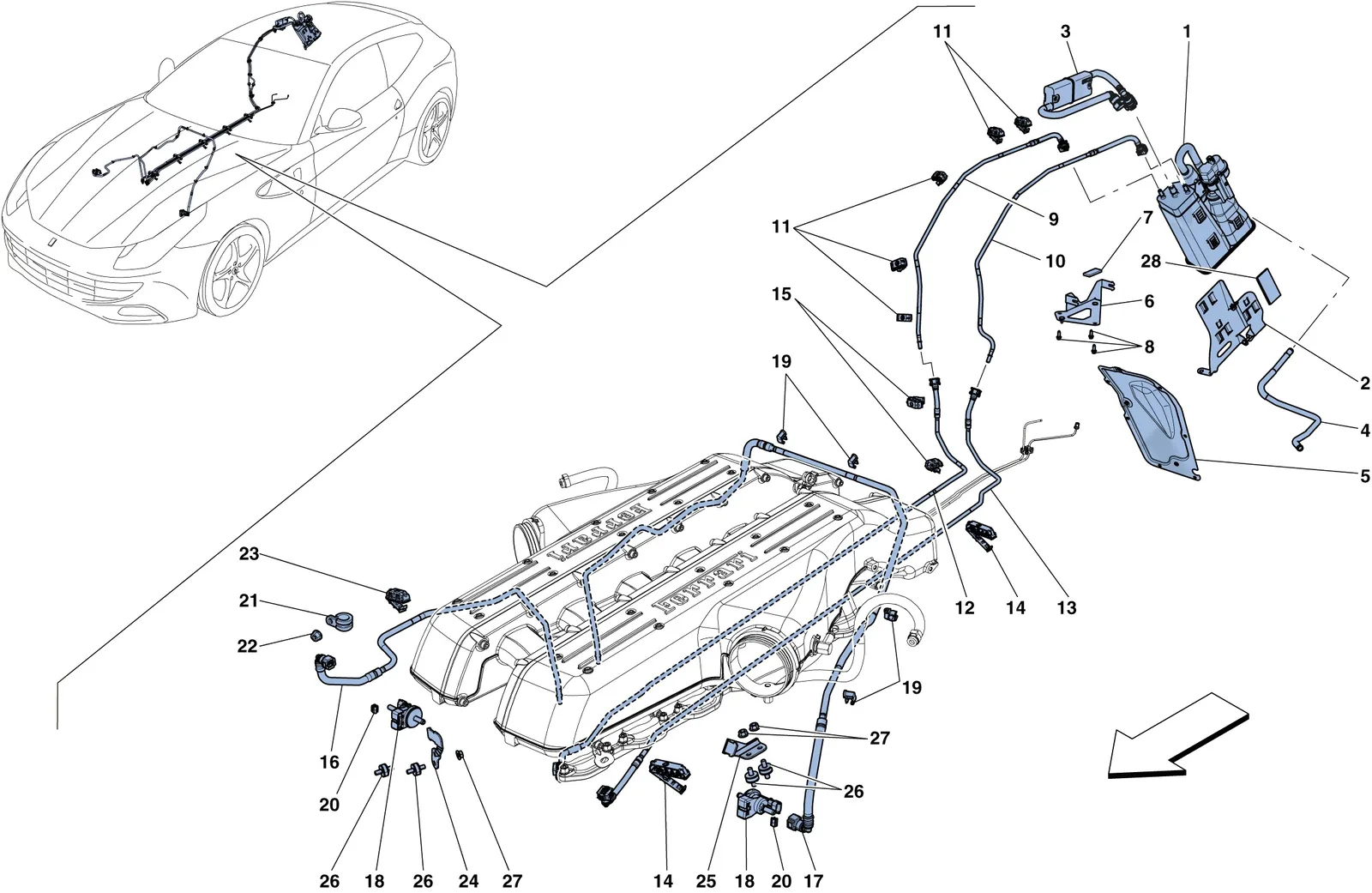 Evaporative Emissions Control System