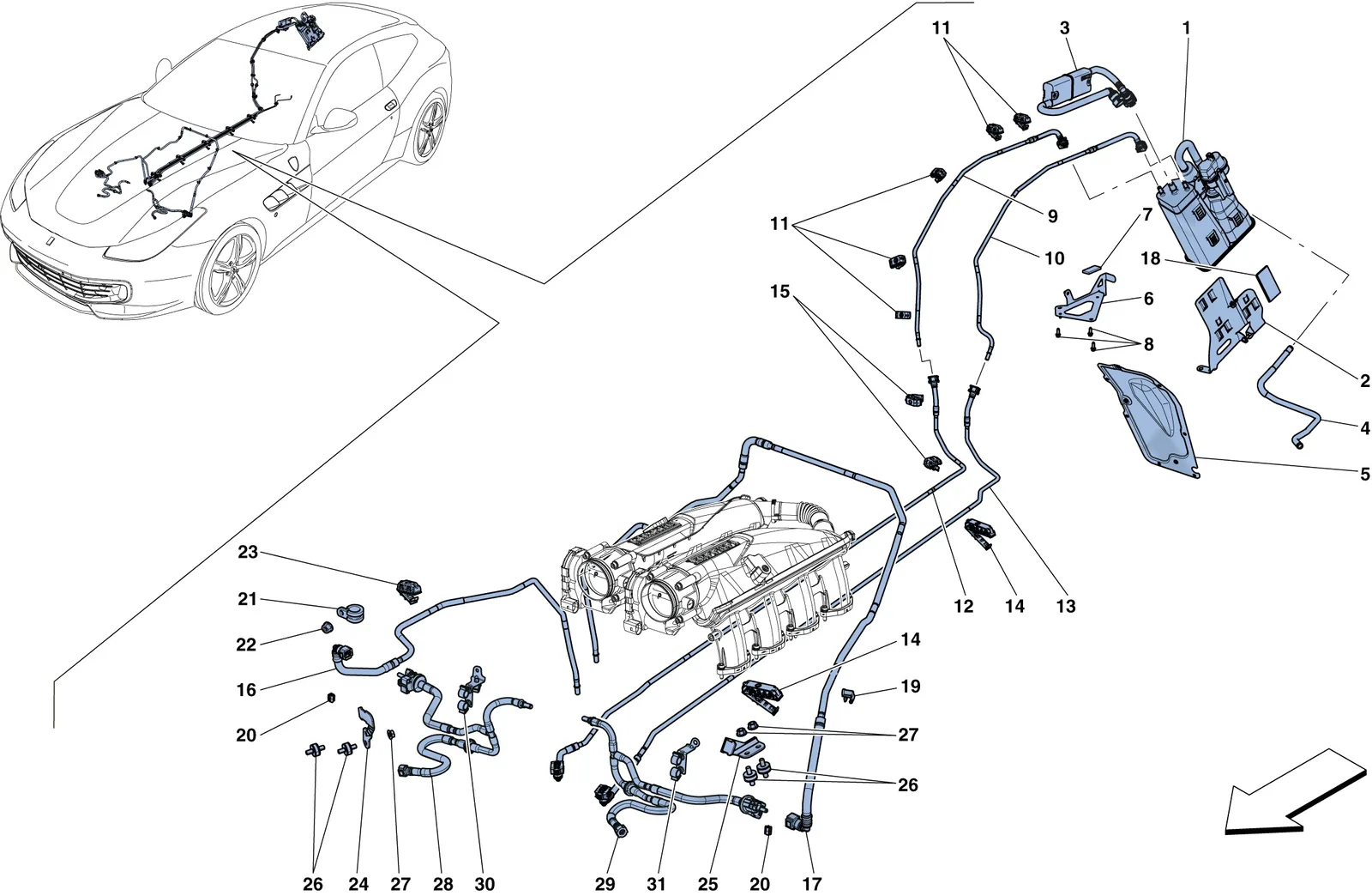 Evaporative Emissions Control System
