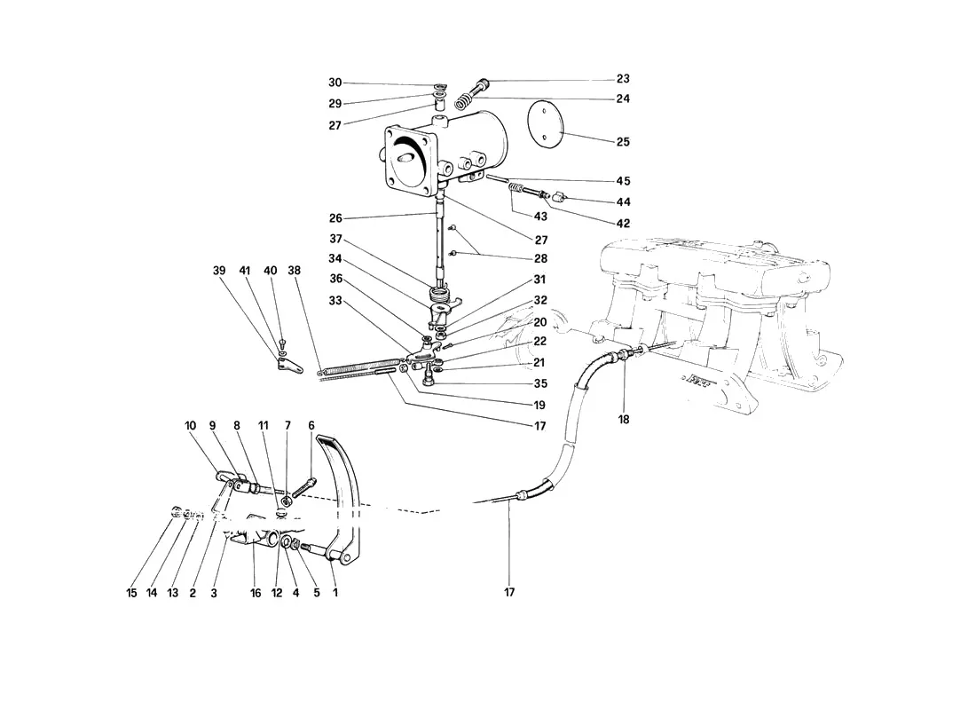 Throttle Housing And Linkage