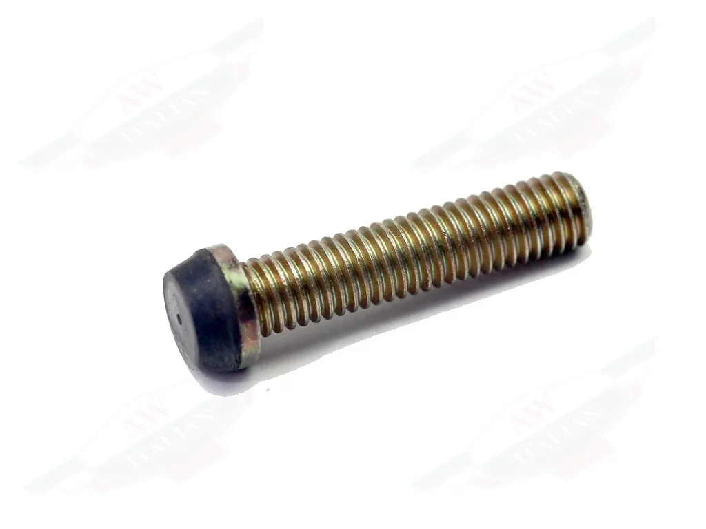Ferrari Screw - 100640