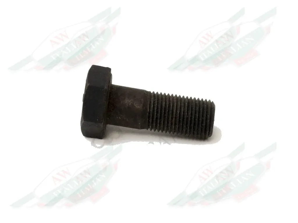 Ferrari Caliper Bolt - 101264