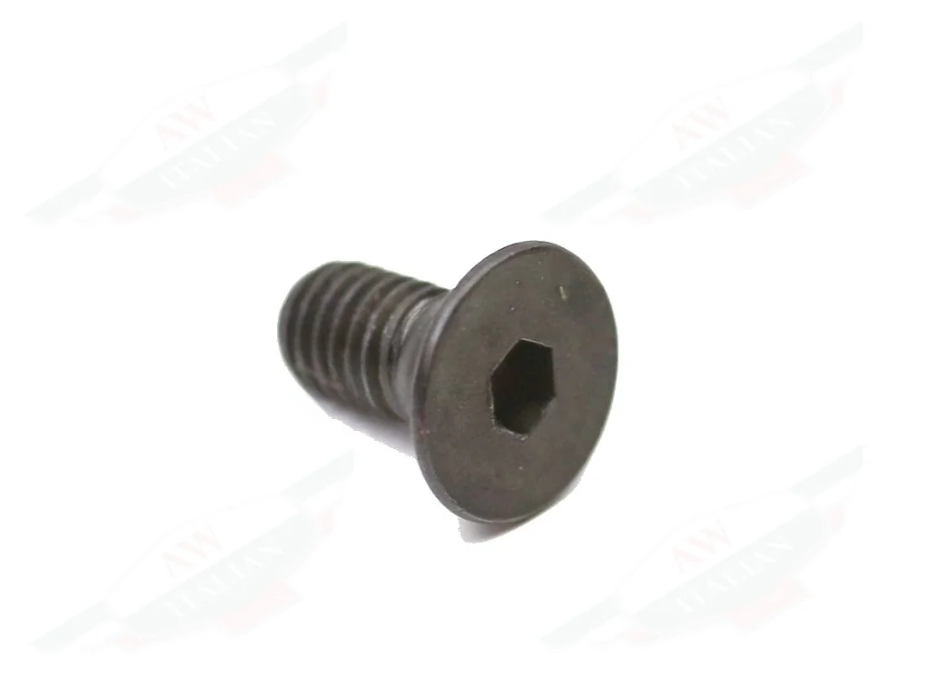 Ferrari Steering Wheel Countersunk Screw - 102307