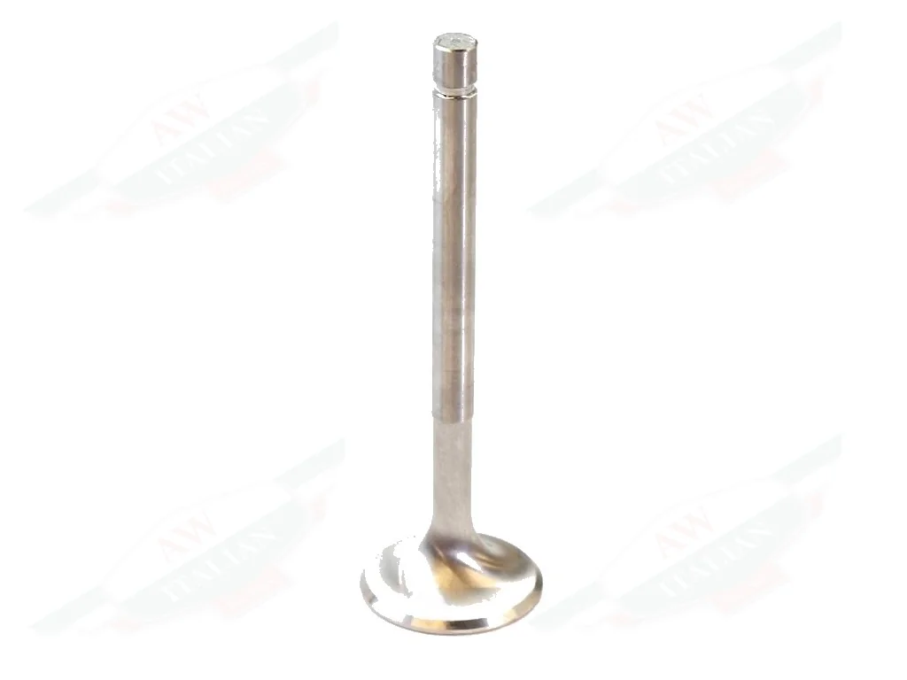 Ferrari Inlet Valve - 107946