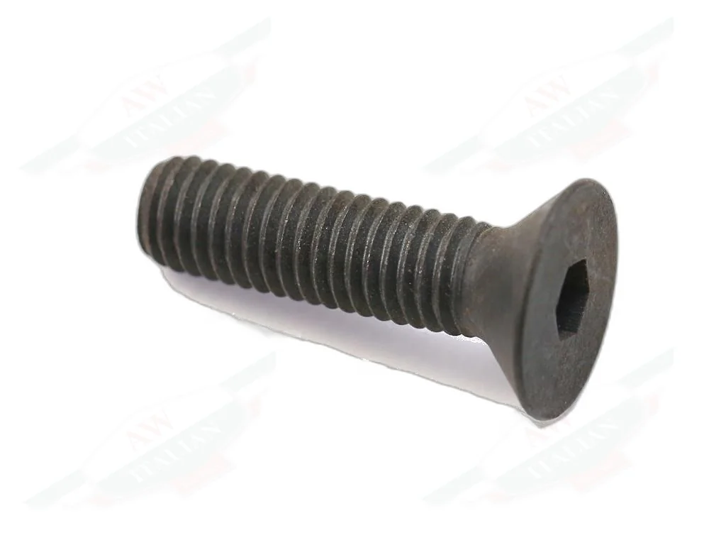 Ferrari Screw - 109396
