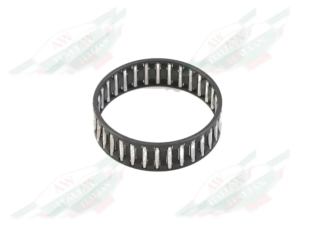 Ferrari Caged Needle Bearing - 109935