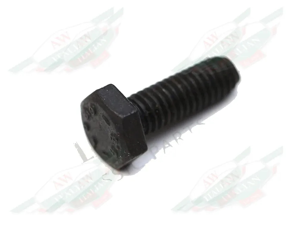 Ferrari Screw - 111711