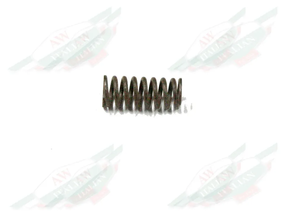 Ferrari Selector Spring - 116336